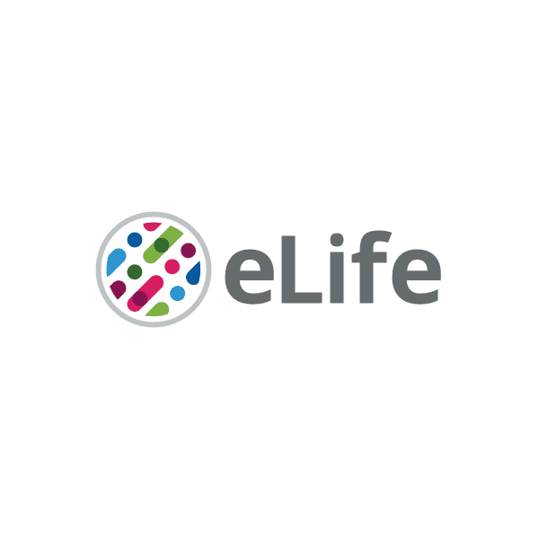 eLife Study Reveals RNA Methylation Enzyme Mettl5 Regulates Sleep via Protein Homeostasis