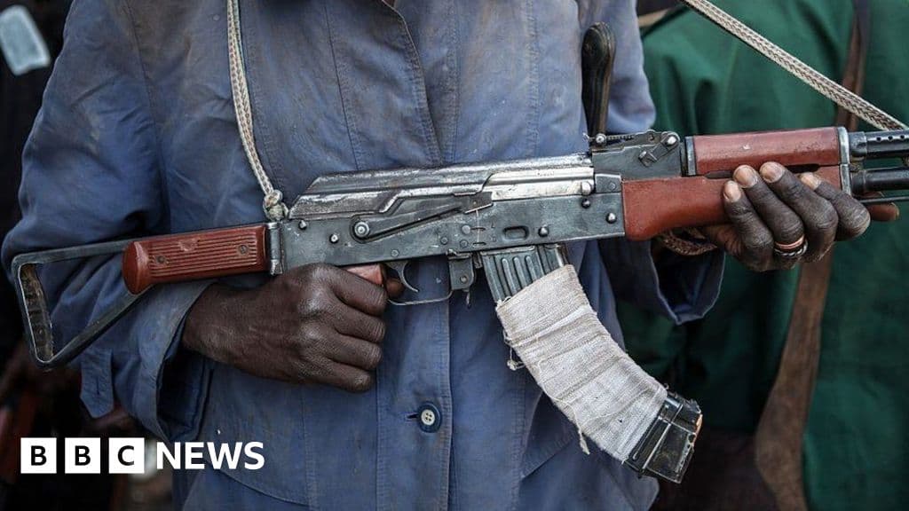 More Than 50 Schoolchildren Kidnapped in Nigeria's Borno State