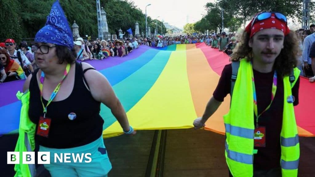 European Court of Justice Rules Hungary's Anti-LGBTQ Law Breaches EU Founding Values