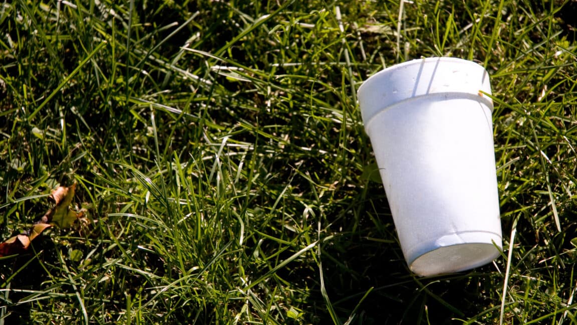 Researchers Upcycle Polystyrene Waste Into Carbon Capture Sponge Material