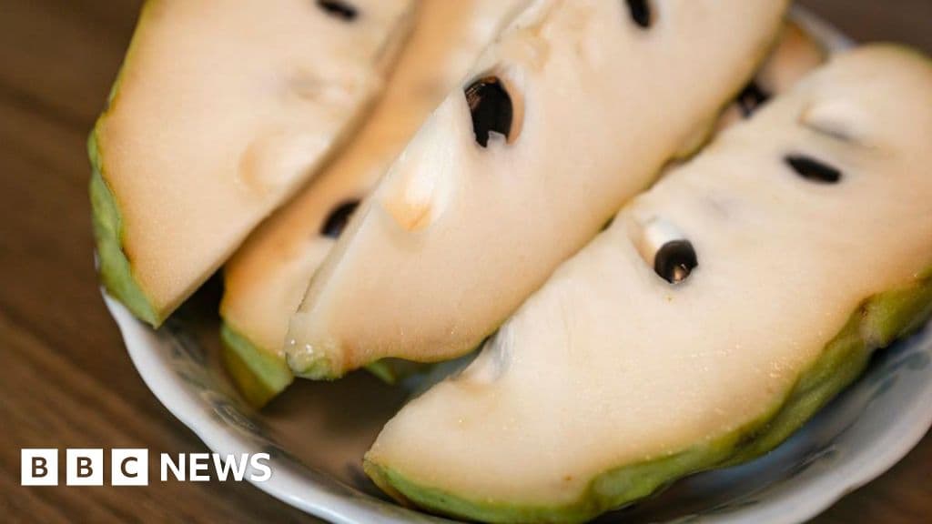 Taiwan agriculture ministry fears China weaponizing custard apple imports amid cross-strait tensions