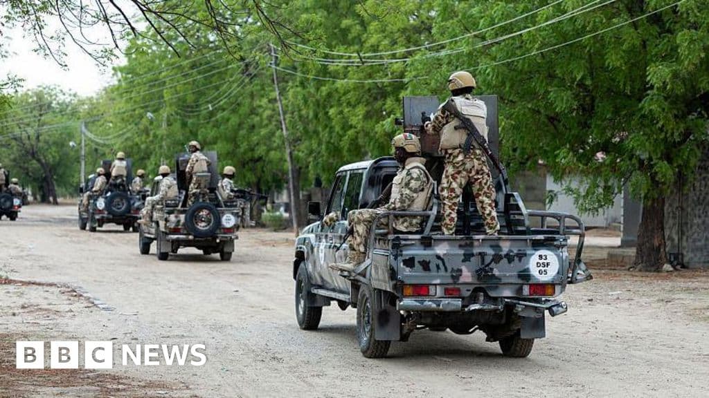 Senior IS Leader Killed in Joint US-Nigeria Military Operation